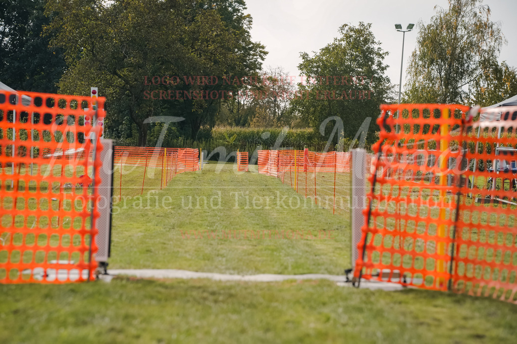 20250928_Hunderennen-355 | MuT (Mensch und Tier) mit Mona - Fotografie und Tierkommunikation - Realisiert mit Pictrs.com