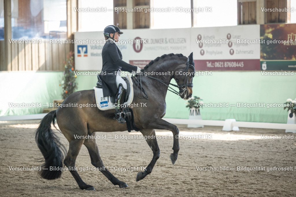 _D5A9486 | Emotionale Pferde- & People-Fotografie rund um Heidelberg, Leimen & Umgebung. Natürliche Fotos von Pferd, Mensch & Familie. Jetzt Termin sichern!