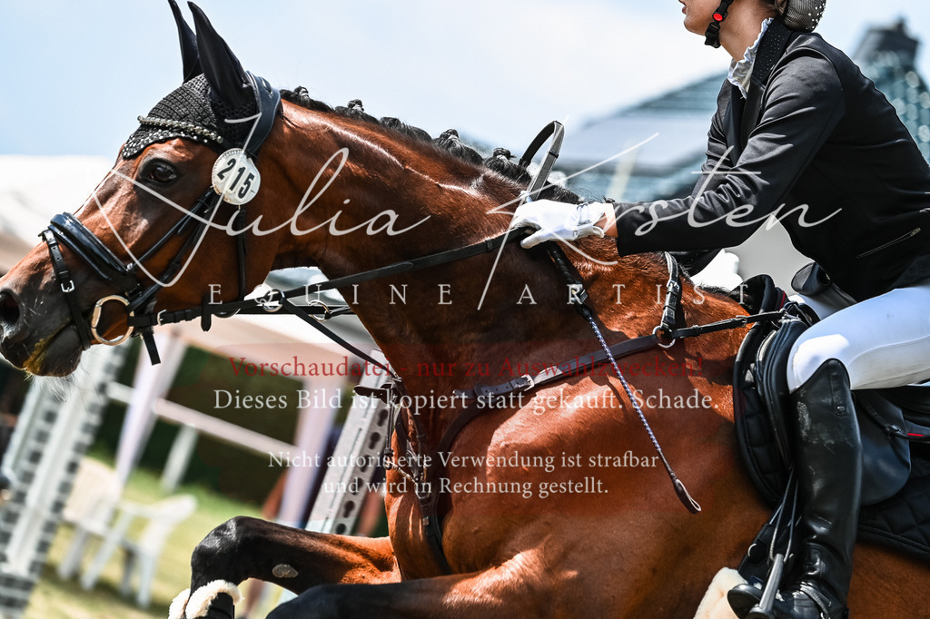 DSC_9440 | Pferde- und Turnierfotografie in Westsachsen. Pferdeportraits, Auftragszeichnungen und intuitive Kunst.