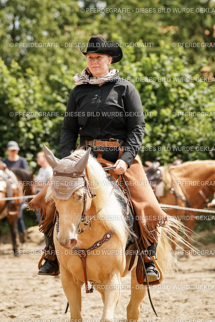 DSC00394 | Pferdegrafie