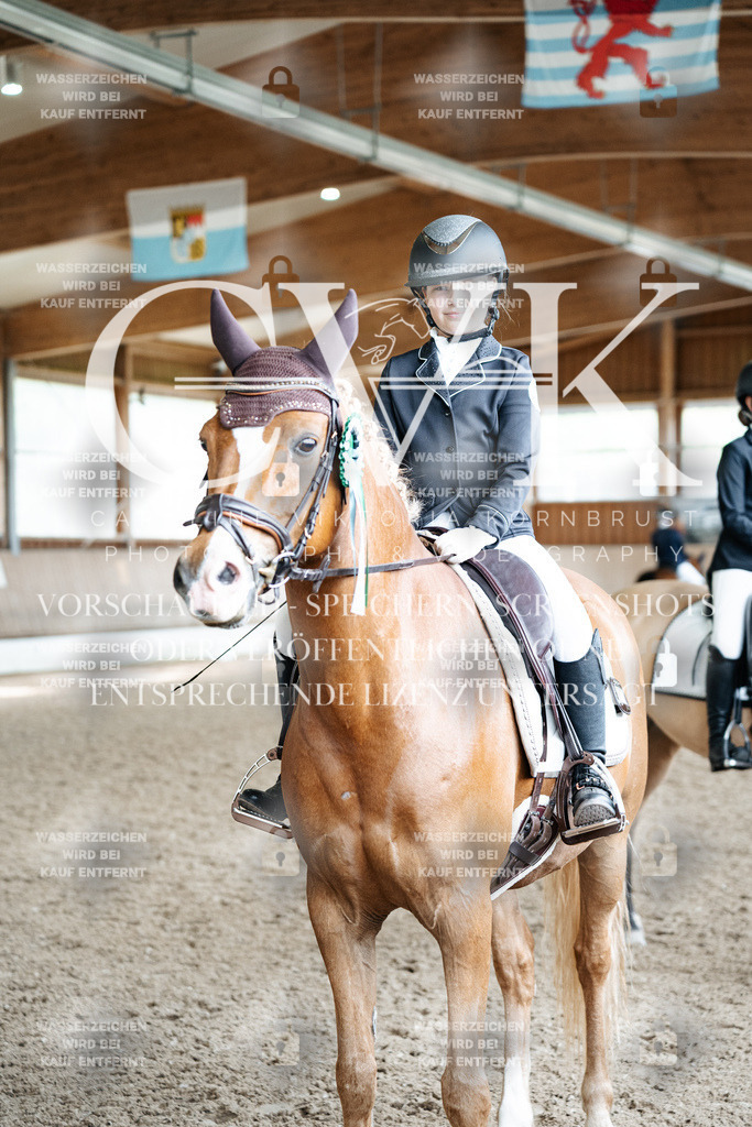 CK703346 | Turnierfotografie Pferdefotografie Trier Rheinland-Pfalz Pferdesport Reitsport Tierfotografie Sportfotografie Pferdevideo Pferdevideografie Equestrianvideography equestrianphotography  - Realisiert mit Pictrs.com