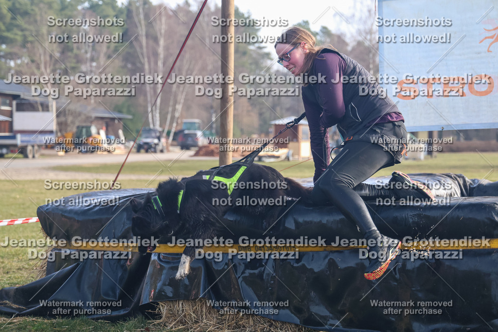 Dog Paparazzi - Strongdog North Mrz26-549 | Dog Paparazzi Jeanette Grottendiek Fotografie & Videografie - Realisiert mit Pictrs.com