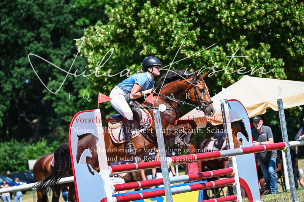 DSC_0958 | Pferde- und Turnierfotografie in Westsachsen. Pferdeportraits, Auftragszeichnungen und intuitive Kunst.