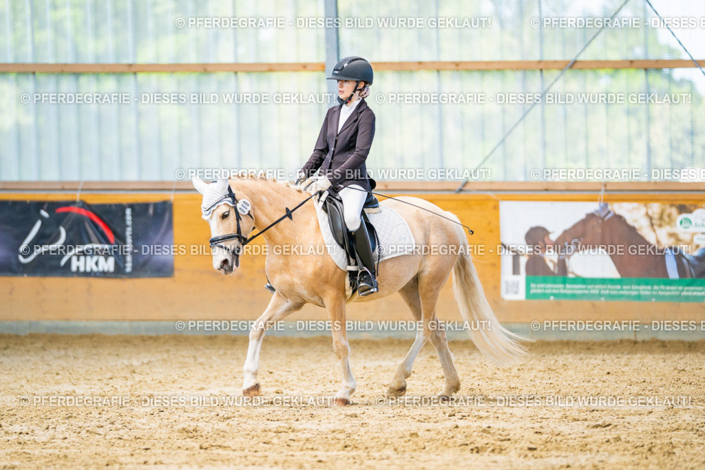 DSC07170 | Pferdegrafie