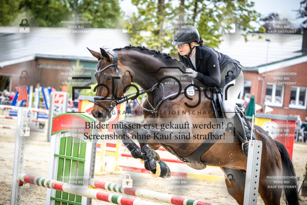 DOS_2408 | Reitturnier Lüdinghausen - Realisiert mit Pictrs.com
