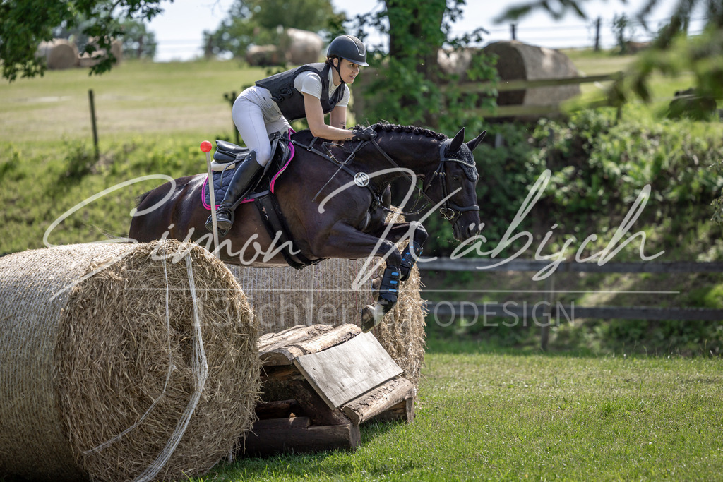 20260523-_3LI9070 | Tierfotografie Pferde, Hunde, Katzen, Haustiere.
Turnierfotografie Reitturniere, Reiten, Springreiten, Dressur in Hanau, dem Main-Kinzig-Kreis und dem Rhein-Main- Gebiet um Frankfurt