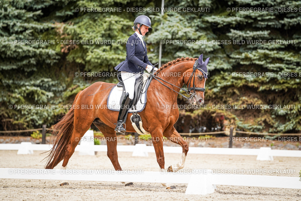 DSC05096 | Pferdegrafie