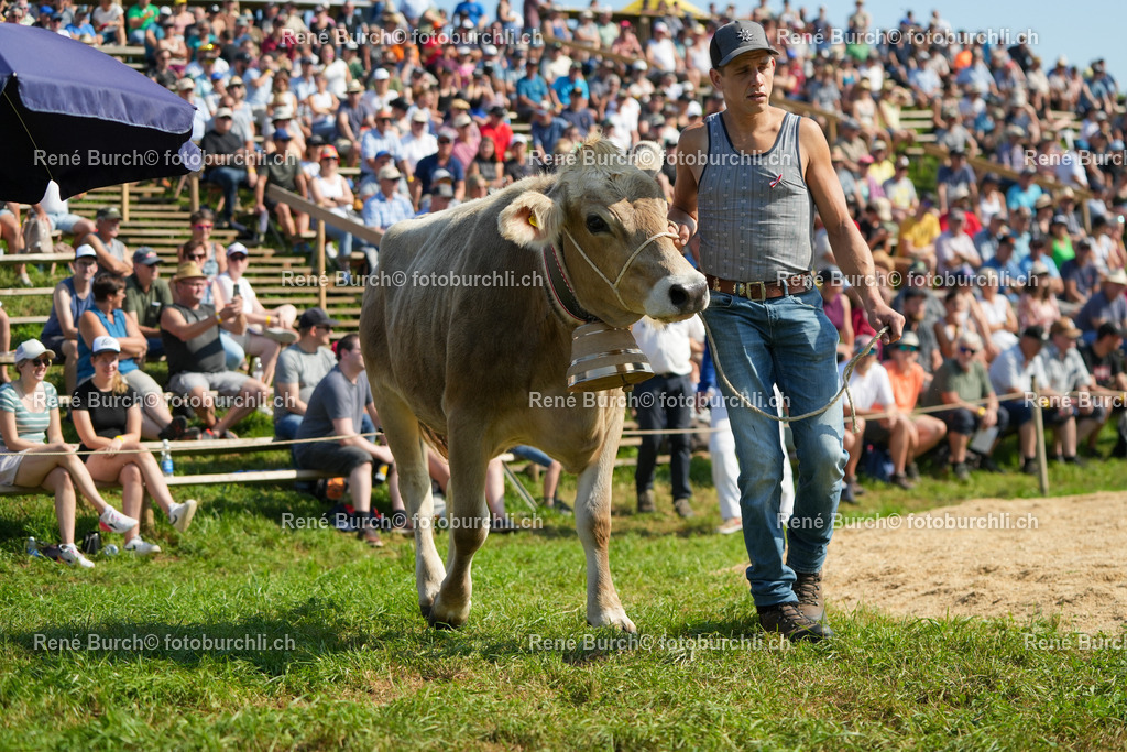 RB_08405 | René Burch leidenschaftlicher Fotograf aus Kerns in Obwalden.  Hier finden sie Sport, Landschaft und Natur Fotografie.
 - Realisiert mit Pictrs.com