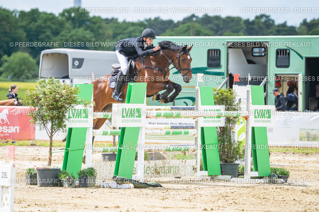 DSC04565 | Pferdegrafie