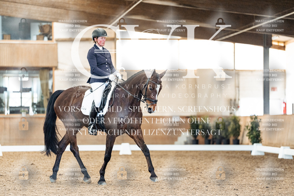 CK909129 | Turnierfotografie Pferdefotografie Trier Rheinland-Pfalz Pferdesport Reitsport Tierfotografie Sportfotografie Pferdevideo Pferdevideografie Equestrianvideography equestrianphotography  - Realisiert mit Pictrs.com