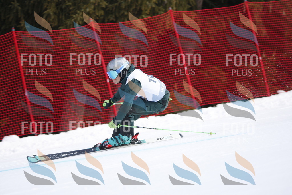 D7946 | holidayphoto