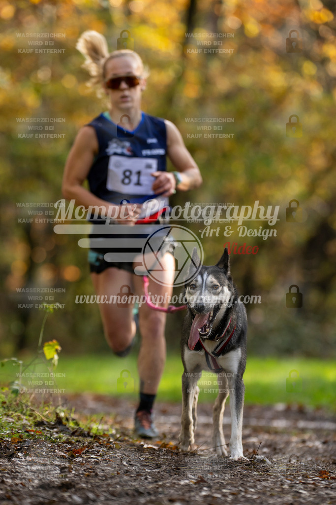 MompixPhotography_Bischwiller23_Canicross-9 | PayLife