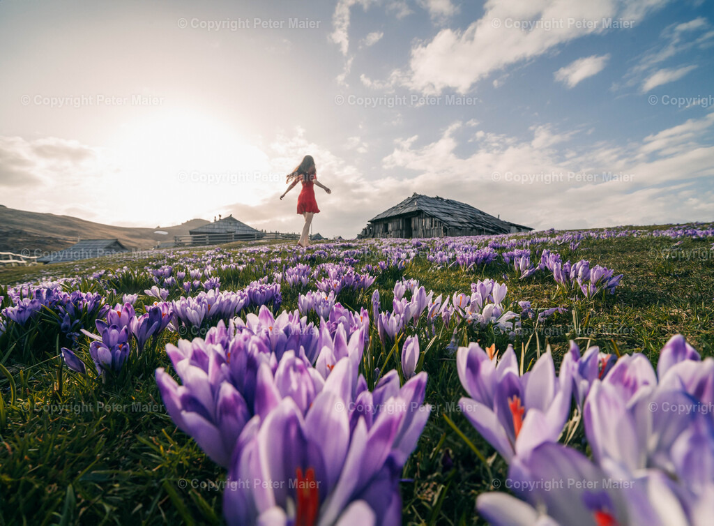 Velika Planina21 | piet_flosse