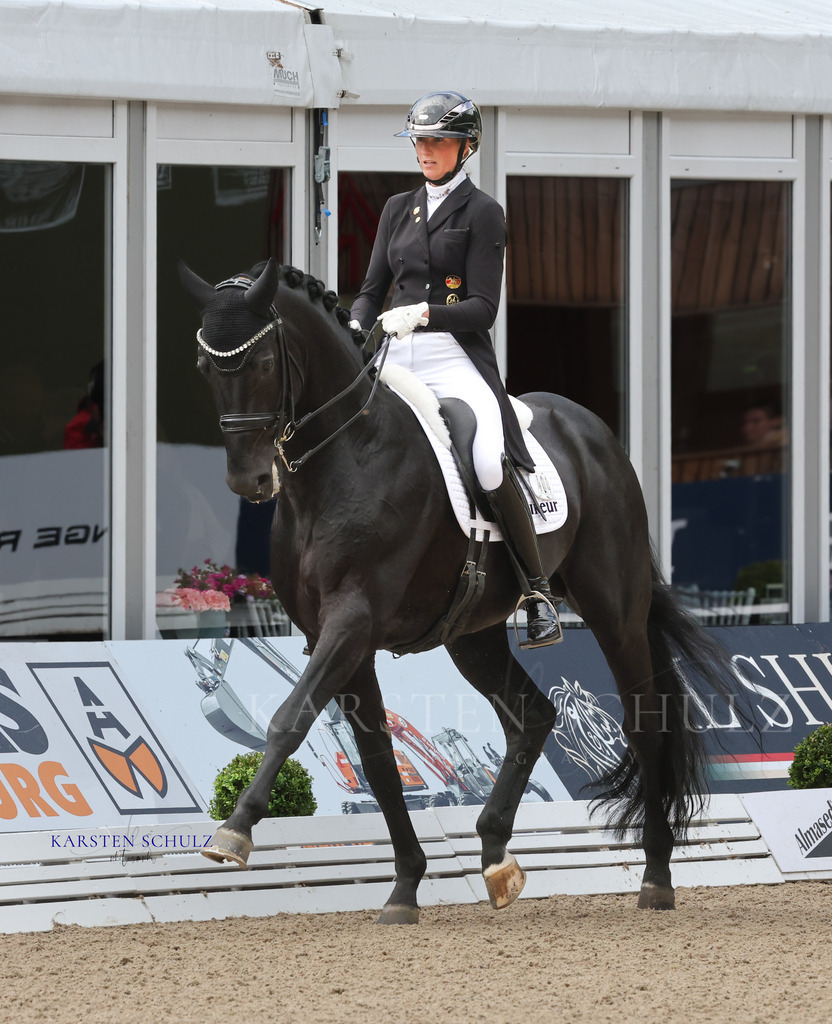 1B3A3903 | Reitsport Reiten