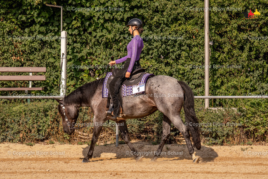 LMS07411 | BS-foto