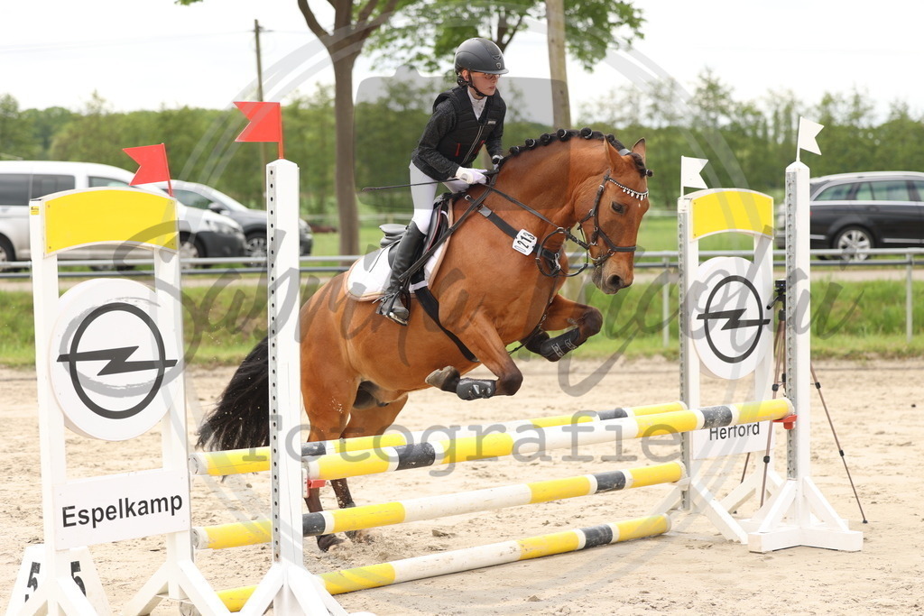 994A8900 | sabrinanicolaifotografie - Realisiert mit Pictrs.com