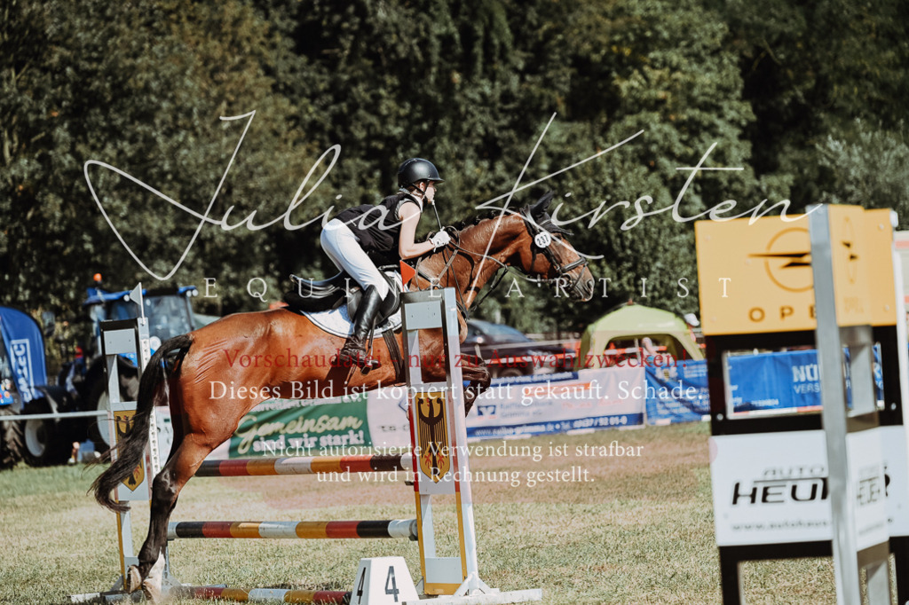 DSC_9557 | Pferde- und Turnierfotografie in Westsachsen. Pferdeportraits, Auftragszeichnungen und intuitive Kunst.