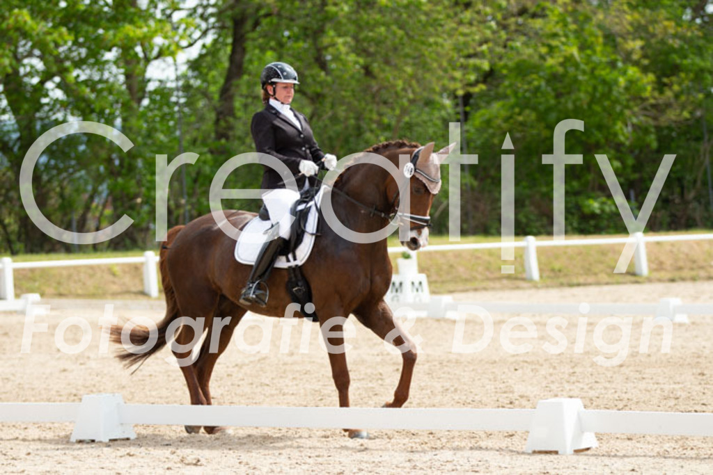 IMG_2368 | Creatify Fotografie