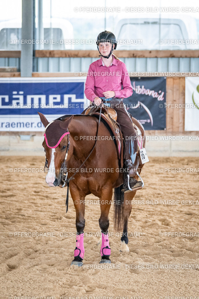 DSC01373 | Pferdegrafie