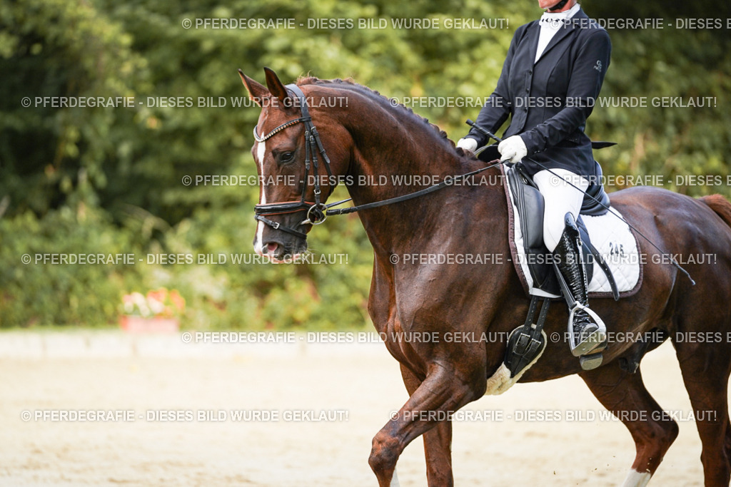 DSC02549 | Pferdegrafie