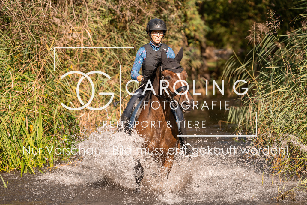 DSC07483 | Turnierfotografin Carolin Gieschke, Turnierfotografie Carolin G Fotografie, Turnierfotos Kirchheim/Teck, Esslingen, Stuttgart, Bodenseekreis