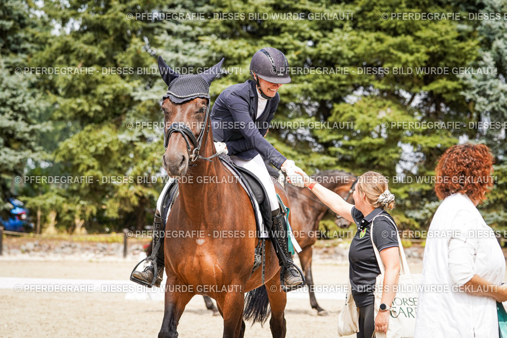 DSC04570 | Pferdegrafie