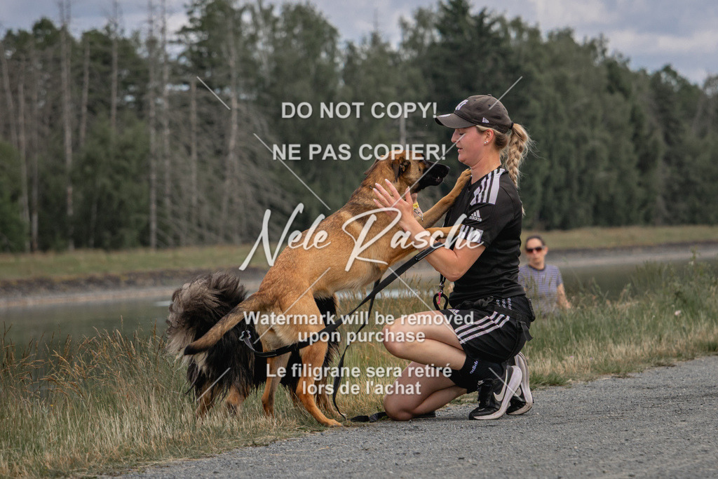 nelerasche_BuHu2026_SaCC1100-1200_135 | nelerasche