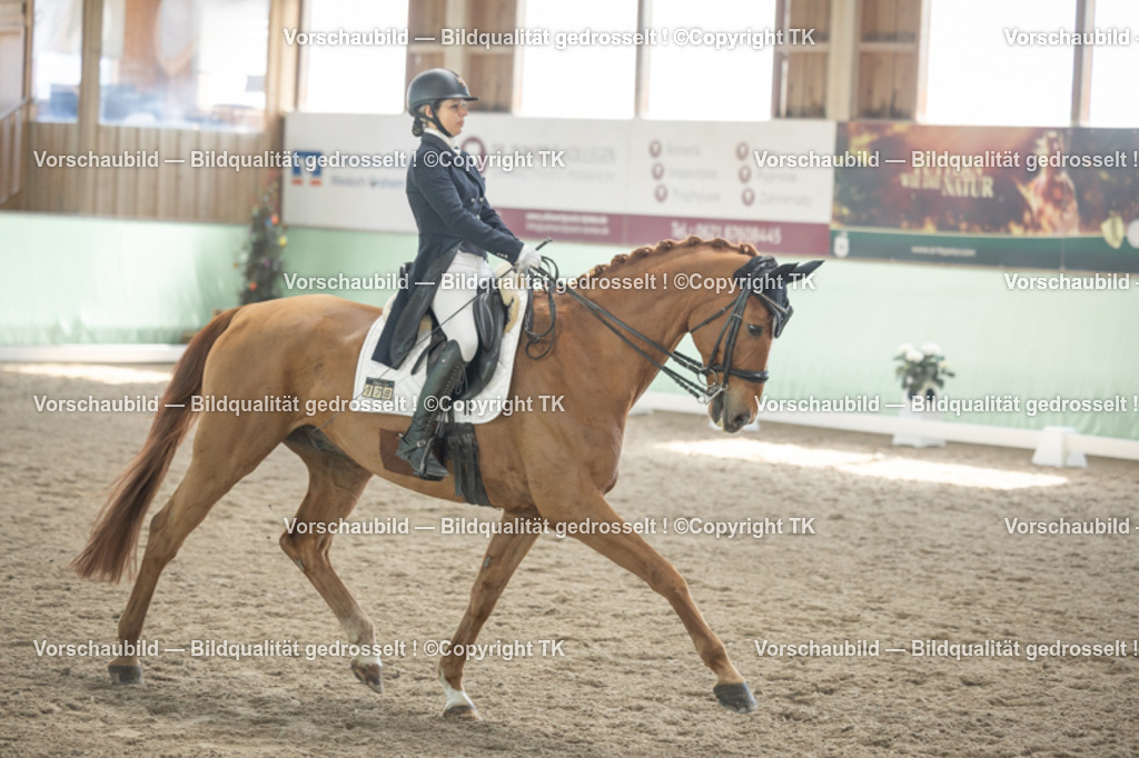 _D5A1418 | Emotionale Pferde- & People-Fotografie rund um Heidelberg, Leimen & Umgebung. Natürliche Fotos von Pferd, Mensch & Familie. Jetzt Termin sichern!