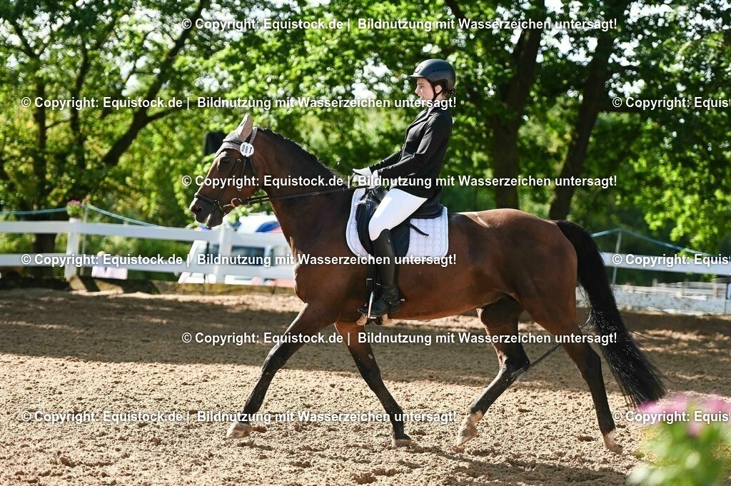 20230716_04_Dressurreiterprüfung Kl.A_0125 | equistock