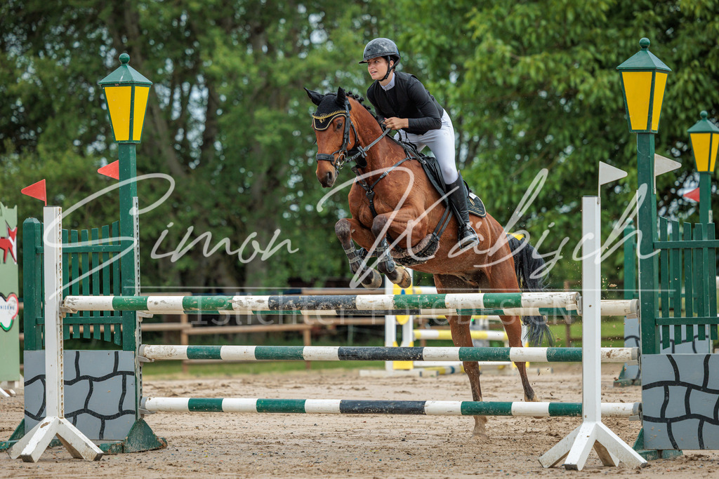 20260530-_3LI2385 | Tierfotografie Pferde, Hunde, Katzen, Haustiere.
Turnierfotografie Reitturniere, Reiten, Springreiten, Dressur in Hanau, dem Main-Kinzig-Kreis und dem Rhein-Main- Gebiet um Frankfurt