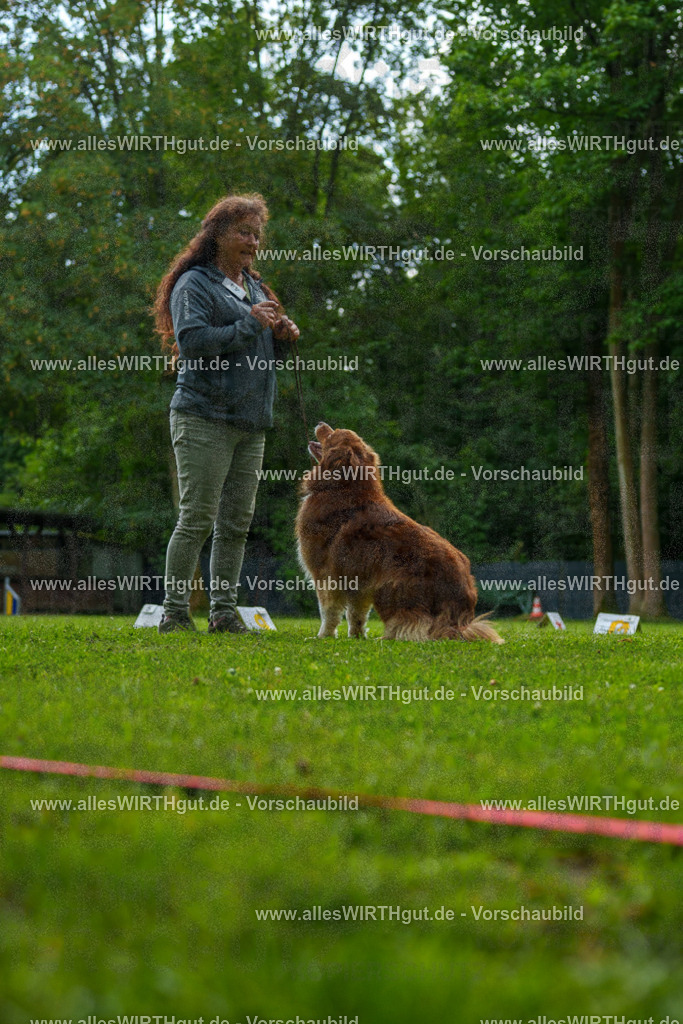 @allesWIRTHgut_Tierfotografie - www.allesWIRTHgut.de - 7R505132 | Professionelle Tierfotografie in Mönchengladbach von Daniel Wirth (allesWIRTHgut). Liebevolle & natürliche Bilder von Hunden & Katzen für unvergessliche Erinnerungen.