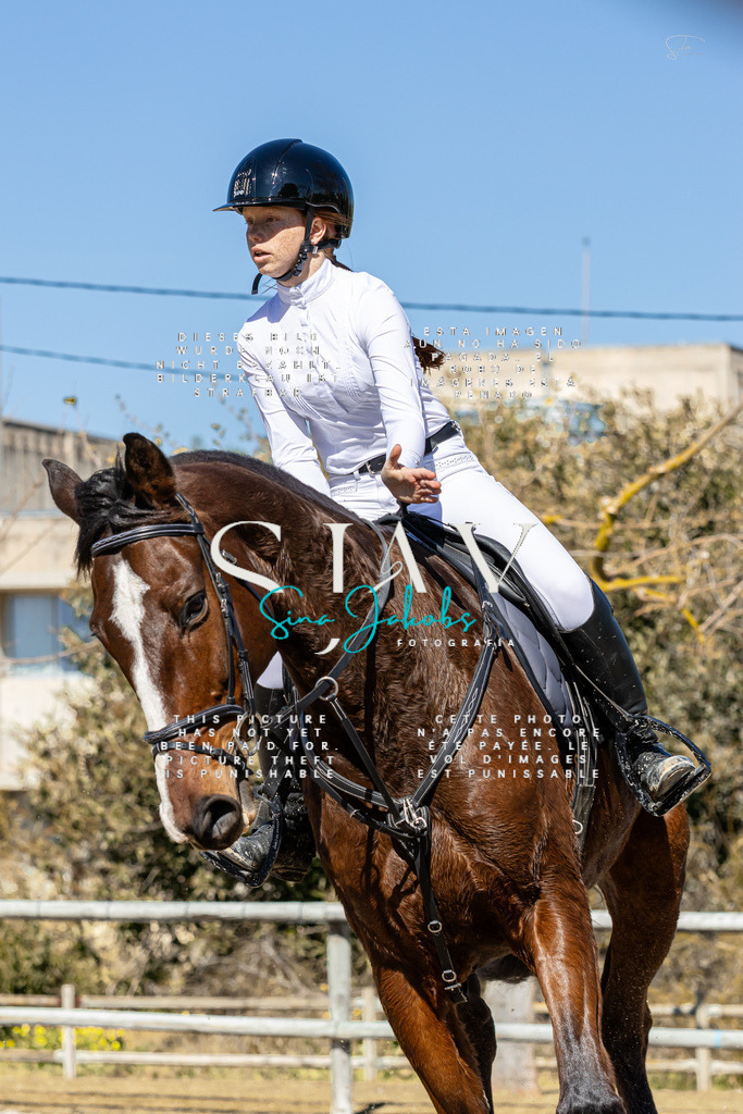 IMG_9913 | s-jay-photography - Realisiert mit Pictrs.com