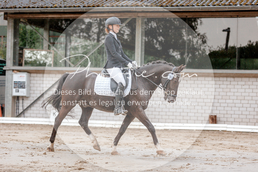3I6A5473 | Stimmungsvolle Portraits und Reitsportfotografie im Ruhrgebiet und im Münsterland.

Pferdefotografie, Hundefotografie, Tierfotografie, Reportagen, Portraits von Tier und Mensch, Turnierfotografie in Bochum, Recklinghausen, Marl, Haltern am See, Dülmen.. - Realisiert mit Pictrs.com