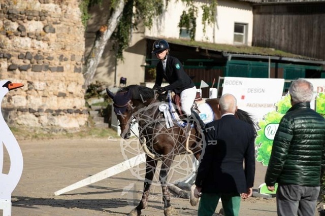 2B4A3840 | pixelfaenger - Realisiert mit Pictrs.com