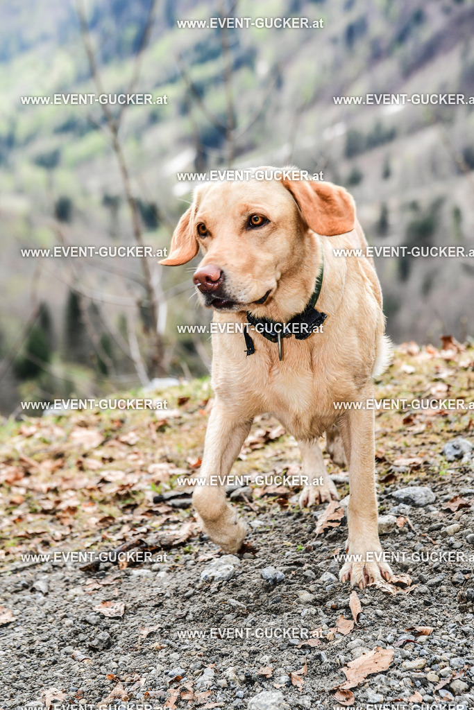 DSC_0585 | Sportfoto event-gucker Herbert Scherer