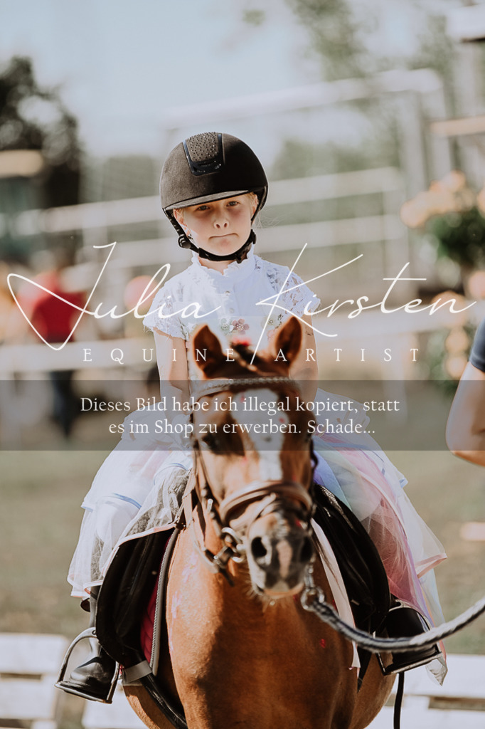DSC_9124 | Pferde- und Turnierfotografie in Westsachsen. Pferdeportraits, Auftragszeichnungen und intuitive Kunst.