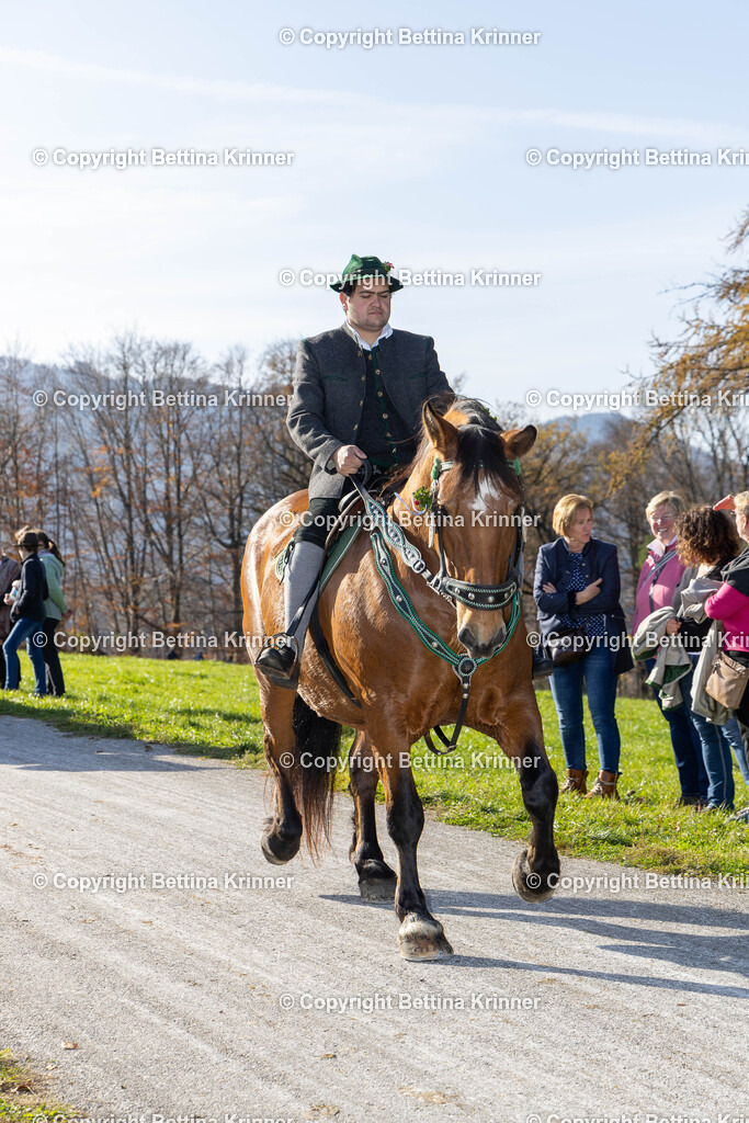 LBT24-1449 | foto-bettina-krinner - Realisiert mit Pictrs.com