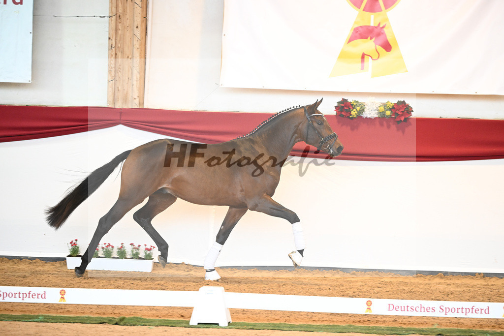 Kat-Nr. 40 Monte Carlo TC x Finest_Gestuet Greim_43230353 | hf-fotografie - Realisiert mit Pictrs.com