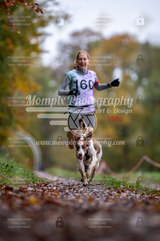 DBT_DAKM_SA_4_11_2023_Canicross-93 | PayLife