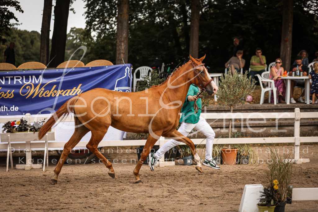 05.So00038 | Leoni Ertmer Photography - Realisiert mit Pictrs.com