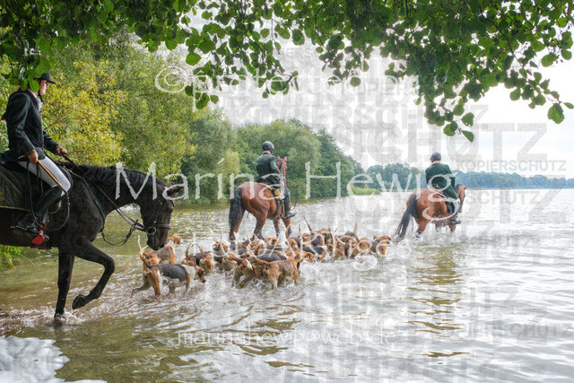Jagd Perdoel_MarinaHewigDSCF3494 | Fotografie, FotoArt, PferdesportArt, Pferdesportfotografie, Landschaftsfotografie, Reisefotografie, Reise, Pferde - Realisiert mit Pictrs.com