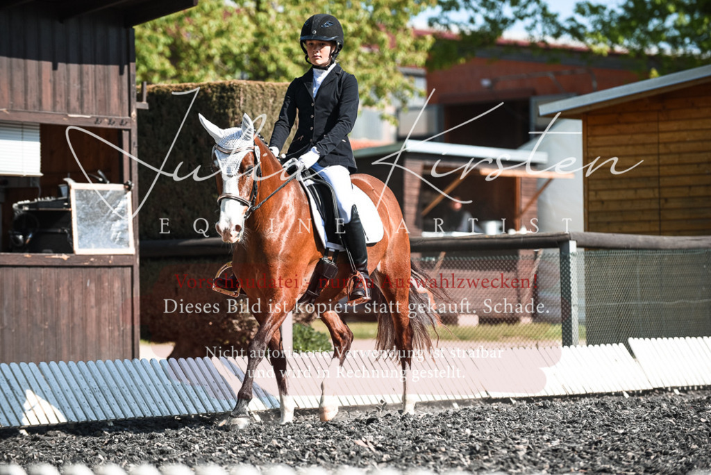DSC_8710 | Pferde- und Turnierfotografie in Westsachsen. Pferdeportraits, Auftragszeichnungen und intuitive Kunst.