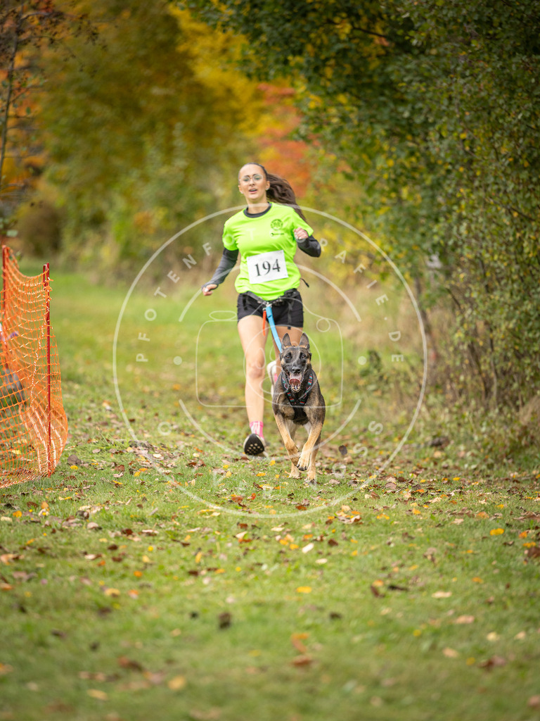 Pfotenfotografie_DV3A3921 | Hundefotografie, Tierfotograf, Pfotenfotografie, Fotoshooting Hund, Hunde Portrait, Hundesport, Hundeportraits, Heideshooting, Hunde, Sportfotograf, Hundefotograf, Turnierhundsport, THS,  - Realisiert mit Pictrs.com