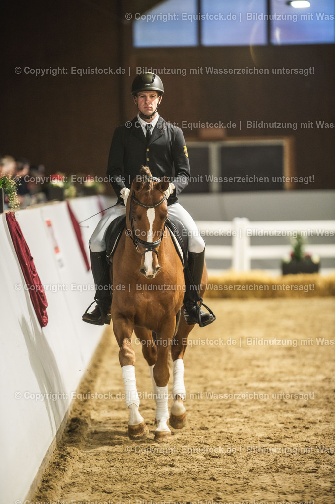 20240302_Hengstvorstellung_Marbach_TOMsPiC_0332-2 | equistock