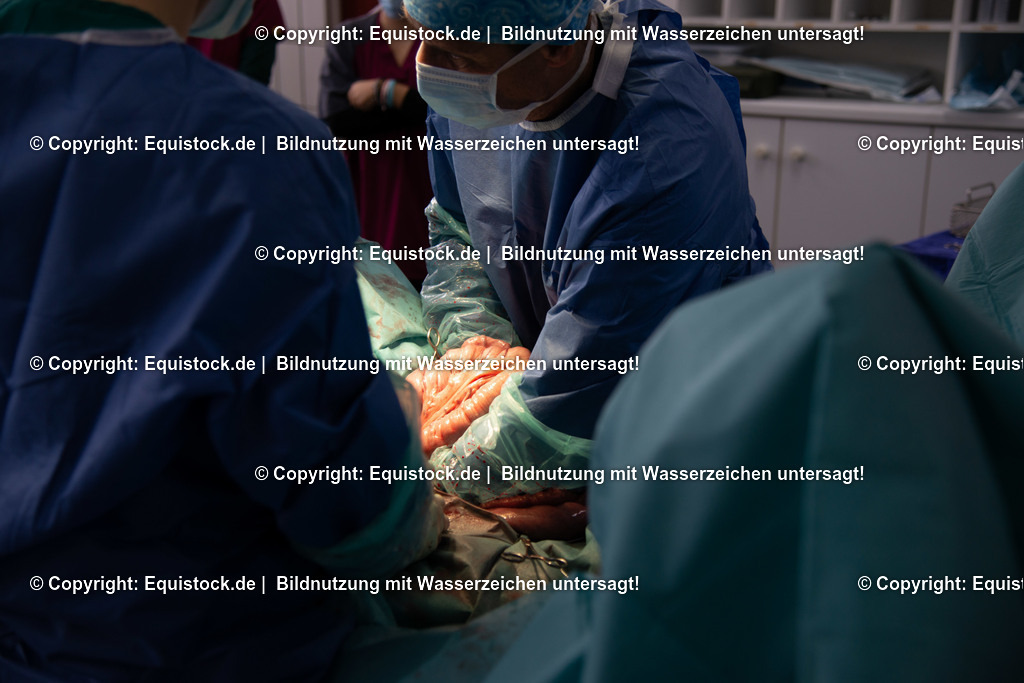 20191022_Kolik_OP_0050 | equistock