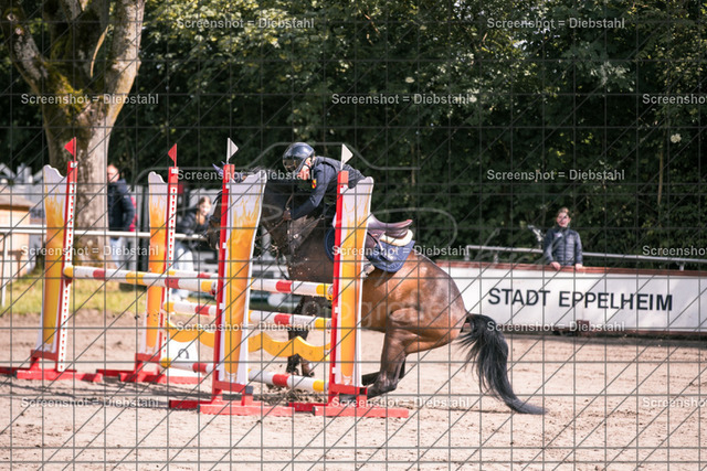 _W6A6518 | ronjaprokoschfotografie - Realisiert mit Pictrs.com