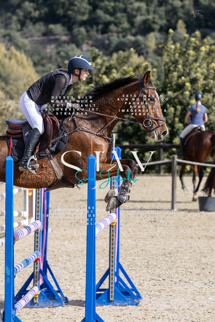 IMG_0536 | s-jay-photography - Realisiert mit Pictrs.com