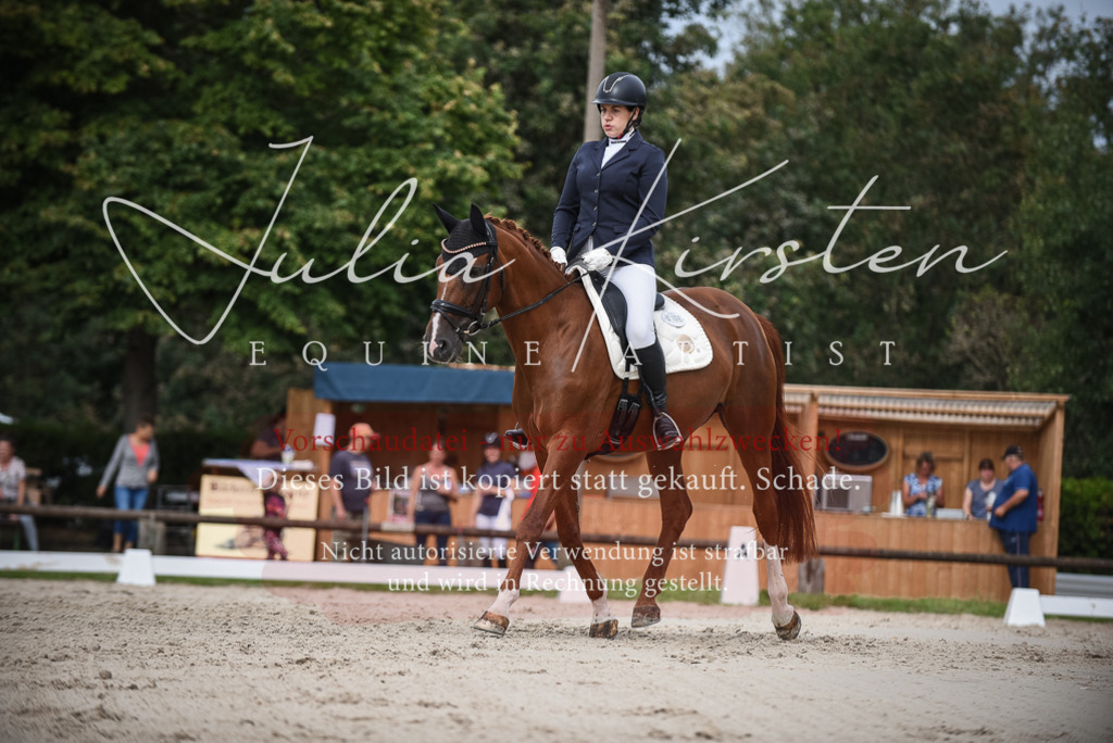 DSC_8359 | Pferde- und Turnierfotografie in Westsachsen. Pferdeportraits, Auftragszeichnungen und intuitive Kunst.