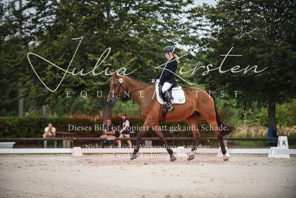 DSC_8007 | Pferde- und Turnierfotografie in Westsachsen. Pferdeportraits, Auftragszeichnungen und intuitive Kunst.