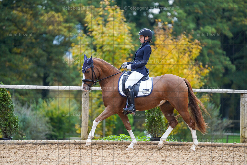 20221008-FAH01500 | Diessen am Ammersee, 2022, Dressur- und Springturnier, Reitsportbilder, Turnierfotografen Bayern, Pferdefotografen, Fotoagentur Herrmann, Turnierbilder